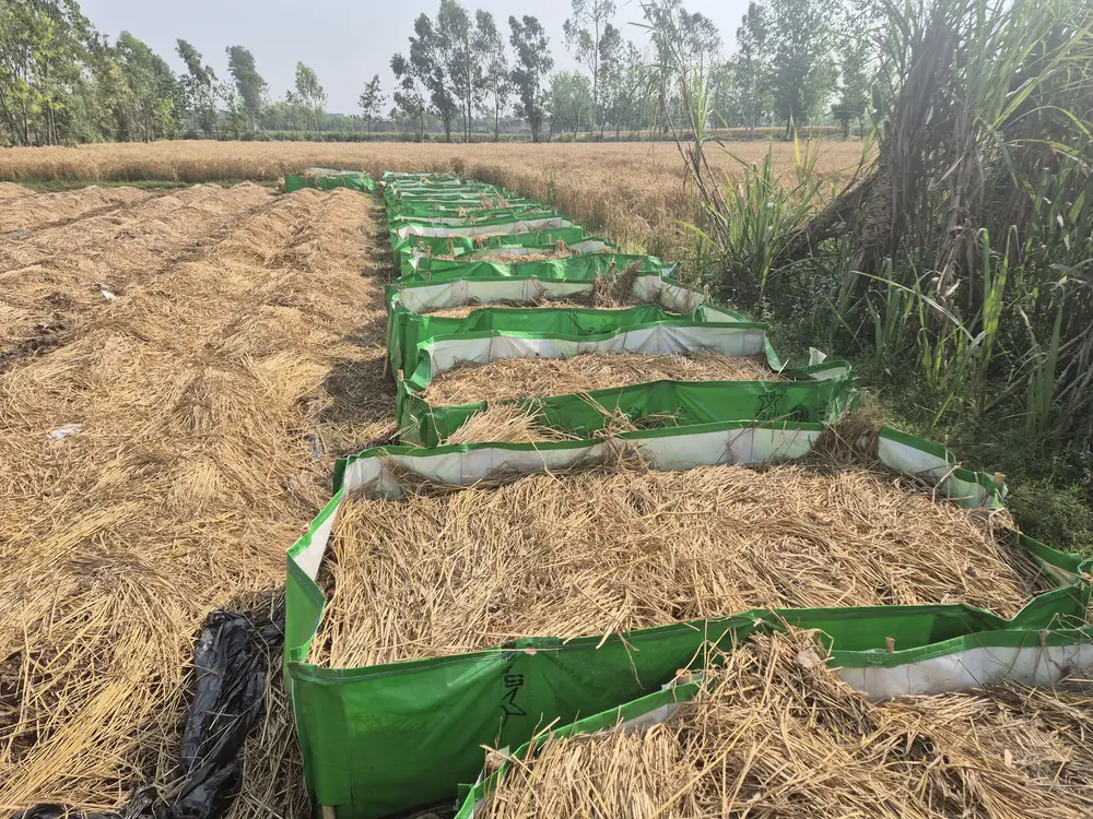 20250410_092057 (1).webp